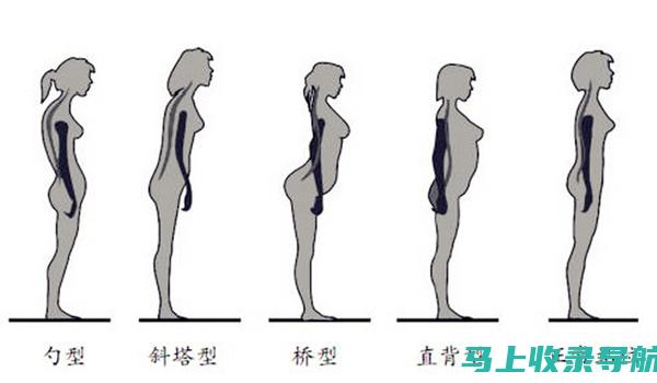 站长职业背景分析：公务员职务与企业管理岗位的区别